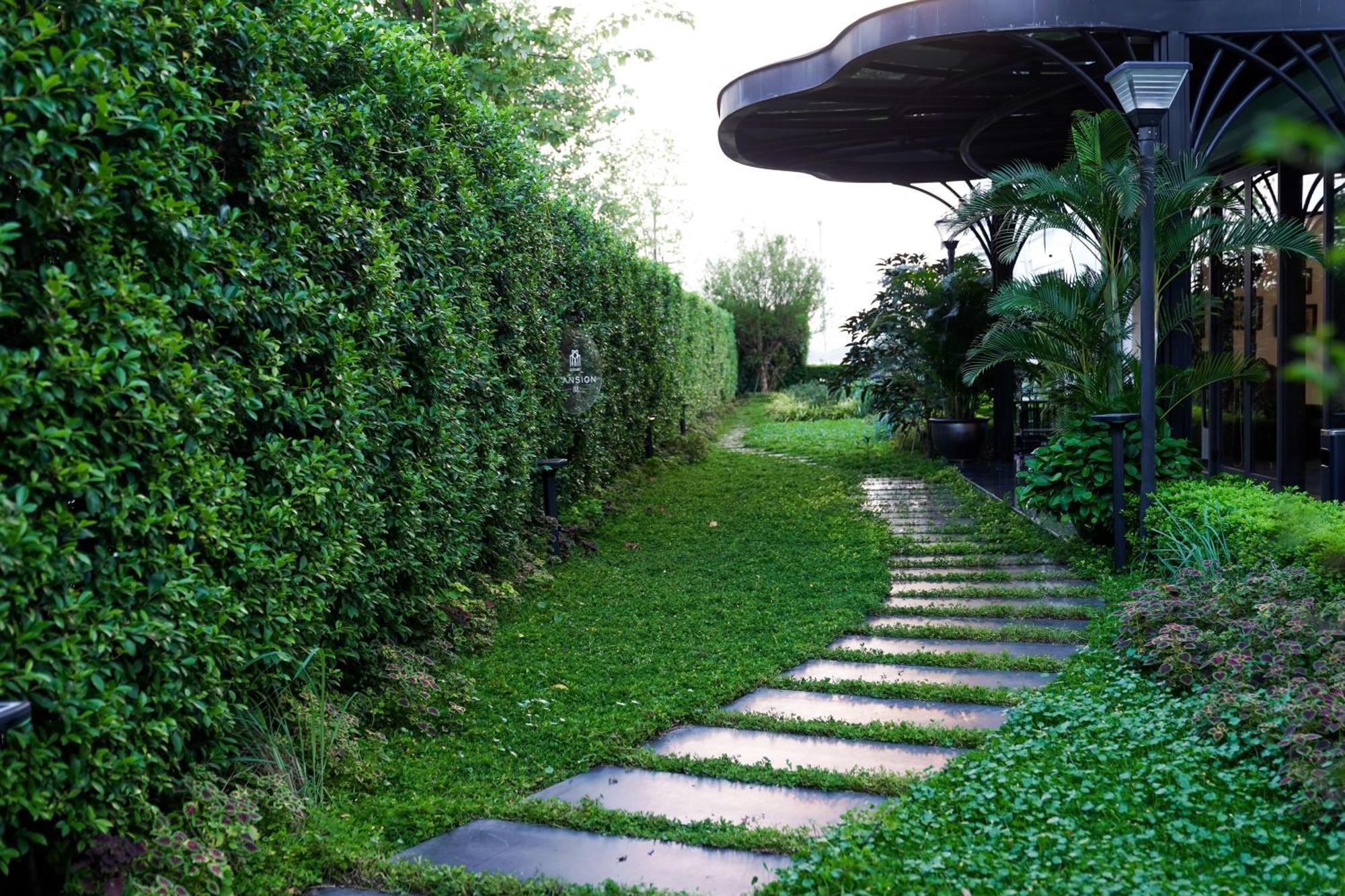 Elegant Mansion 88 Hotel Hanoi Exterior foto
